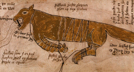 Fenrir enchaîné, manuscrit islandais