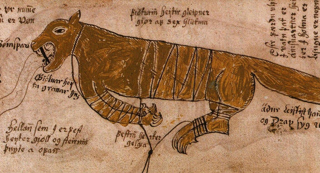 Fenrir enchaîné, manuscrit islandais