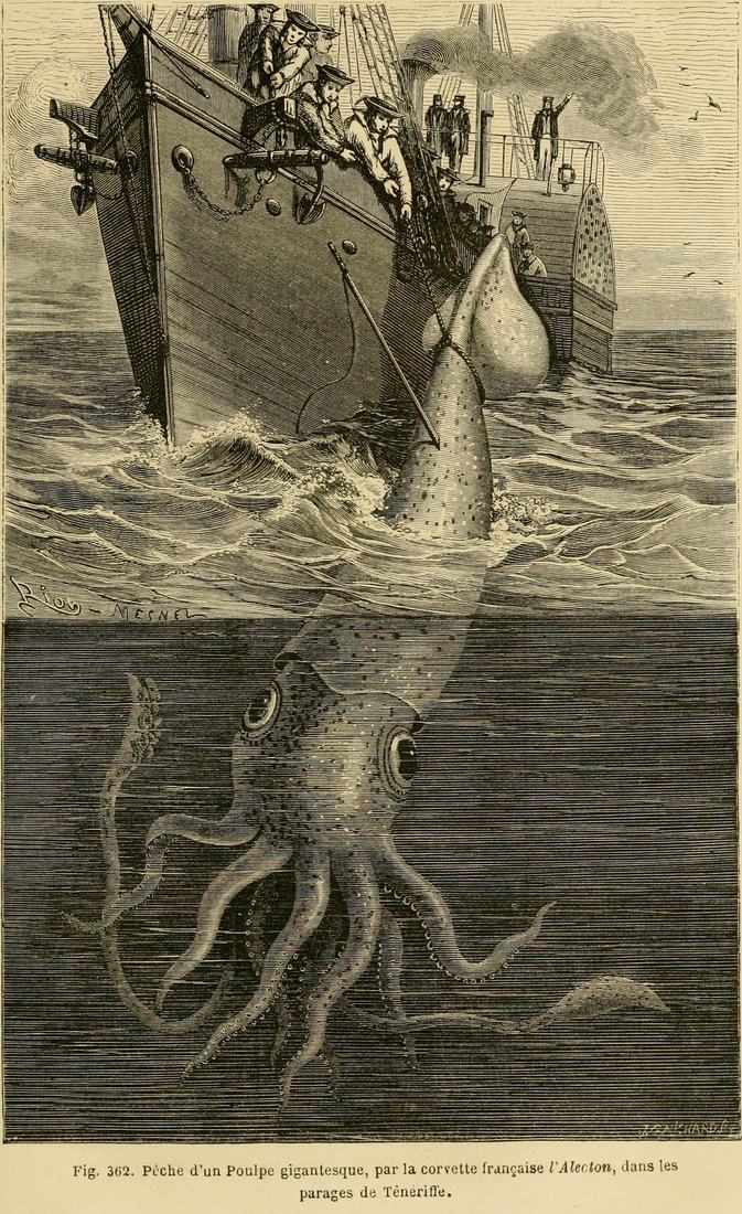 Gravure du XIXe siècle représentant l'équipage de l'Alecton tentant de capturer un calmar géant en 1861