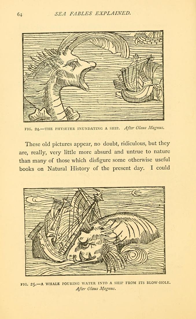 Page d'un ouvrage du XIXe siècle reproduisant deux gravures sur bois de monstres marins d'Olaus Magnus